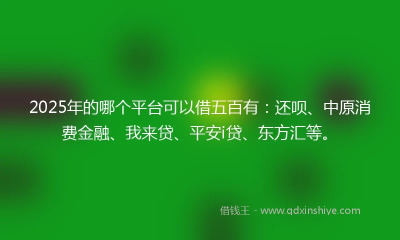 2025年的哪个平台可以借五百有：还呗、中原消费金融、我来贷、平安i贷、东方汇等。