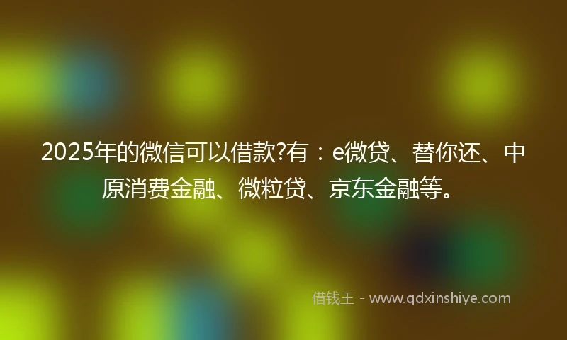 2025年的微信可以借款?有：e微贷、替你还、中原消费金融、微粒贷、京东金融等。