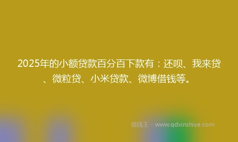 2025年的小额贷款百分百下款有：还呗、我来贷、微粒贷、小米贷款、微博借钱等。