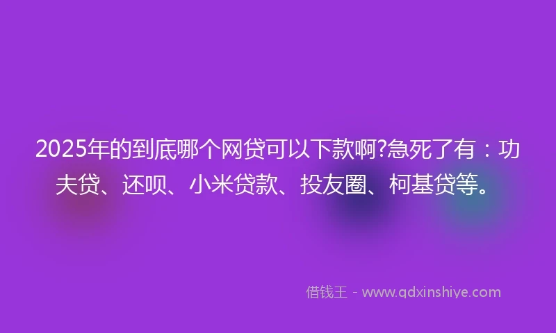2025年的到底哪个网贷可以下款啊?急死了有：功夫贷、还呗、小米贷款、投友圈、柯基贷等。