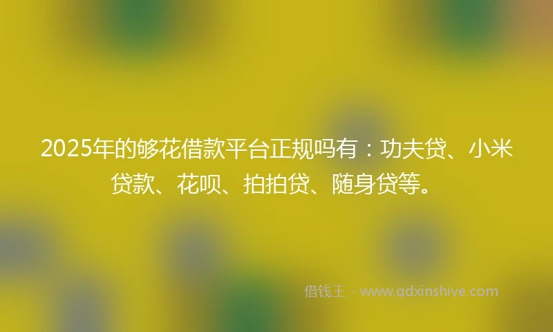 2025年的够花借款平台正规吗有：功夫贷、小米贷款、花呗、拍拍贷、随身贷等。
