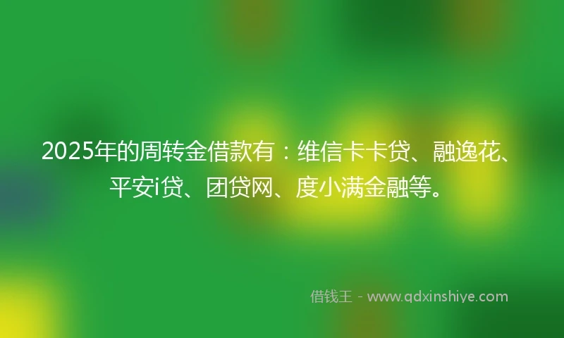2025年的周转金借款有：维信卡卡贷、融逸花、平安i贷、团贷网、度小满金融等。