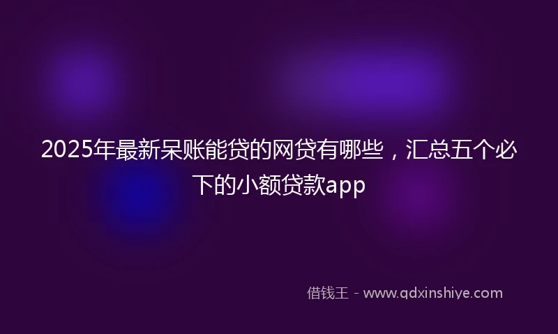2025年最新呆账能贷的网贷有哪些，汇总五个必下的小额贷款app