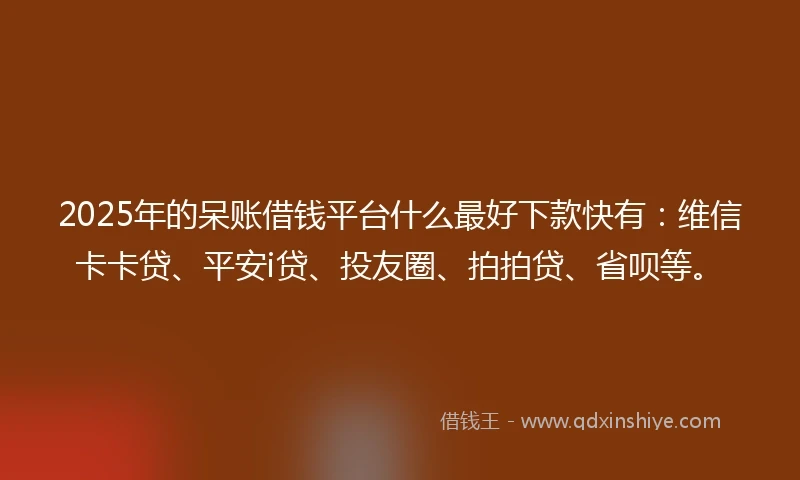 2025年的呆账借钱平台什么最好下款快有：维信卡卡贷、平安i贷、投友圈、拍拍贷、省呗等。