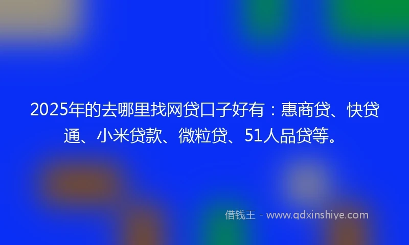2025年的去哪里找网贷口子好有：惠商贷、快贷通、小米贷款、微粒贷、51人品贷等。