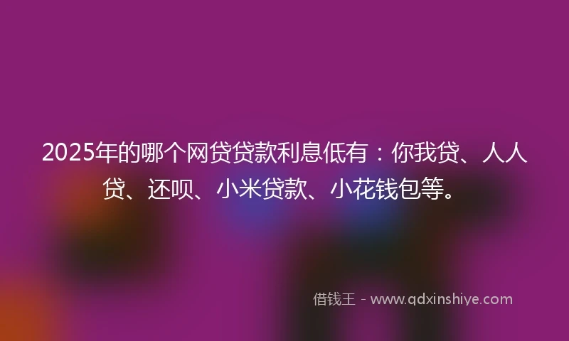 2025年的哪个网贷贷款利息低有：你我贷、人人贷、还呗、小米贷款、小花钱包等。