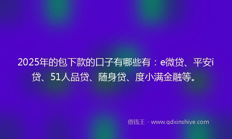 2025年的包下款的口子有哪些有：e微贷、平安i贷、51人品贷、随身贷、度小满金融等。