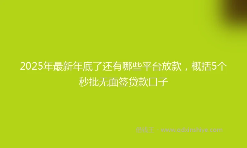 2025年最新年底了还有哪些平台放款，概括5个秒批无面签贷款口子