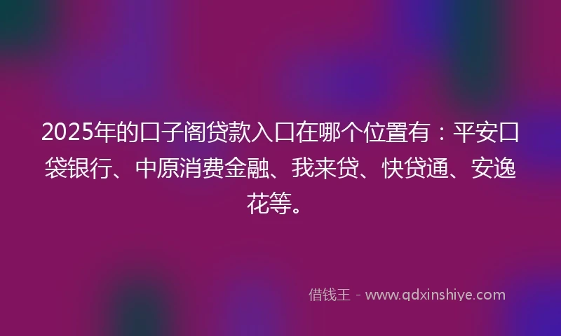 2025年的口子阁贷款入口在哪个位置有：平安口袋银行、中原消费金融、我来贷、快贷通、安逸花等。