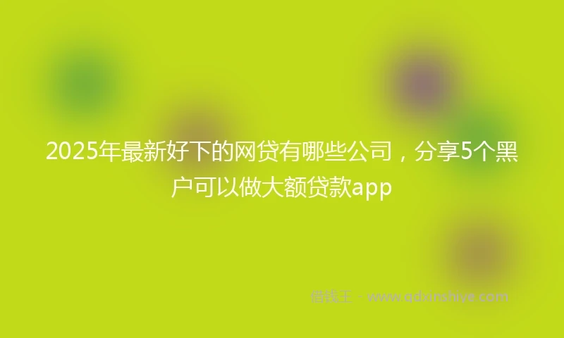2025年最新好下的网贷有哪些公司，分享5个黑户可以做大额贷款app