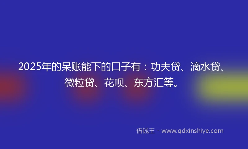 2025年的呆账能下的口子有：功夫贷、滴水贷、微粒贷、花呗、东方汇等。