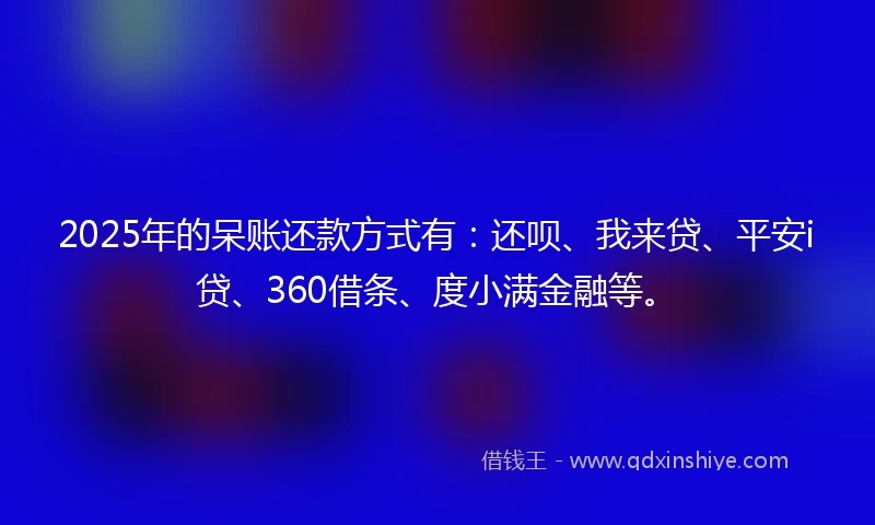 2025年的呆账还款方式有：还呗、我来贷、平安i贷、360借条、度小满金融等。