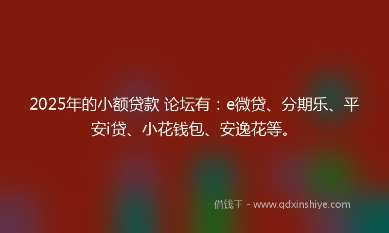 2025年的小额贷款 论坛有：e微贷、分期乐、平安i贷、小花钱包、安逸花等。