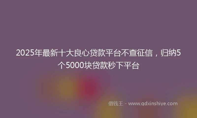 2025年最新十大良心贷款平台不查征信，归纳5个5000块贷款秒下平台