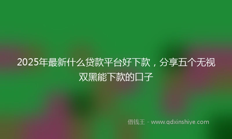 2025年最新什么贷款平台好下款，分享五个无视双黑能下款的口子