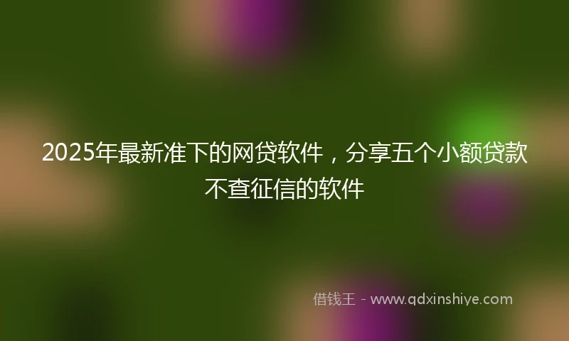 2025年最新准下的网贷软件，分享五个小额贷款不查征信的软件