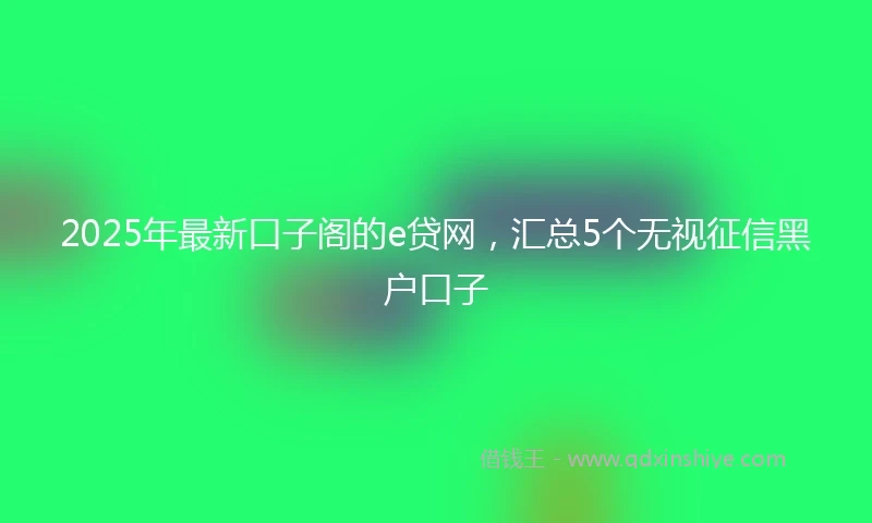 2025年最新口子阁的e贷网，汇总5个无视征信黑户口子