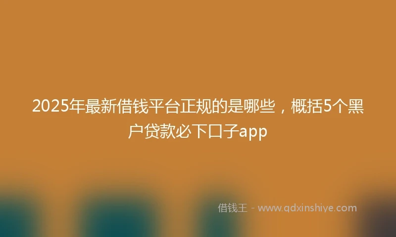 2025年最新借钱平台正规的是哪些，概括5个黑户贷款必下口子app
