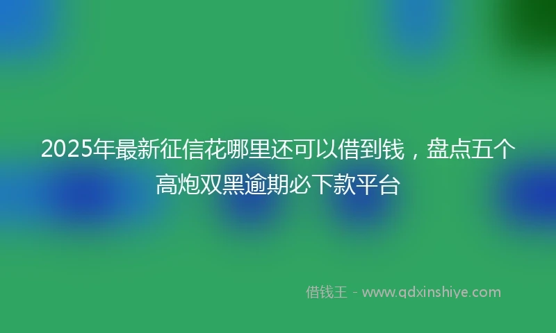 2025年最新征信花哪里还可以借到钱，盘点五个高炮双黑逾期必下款平台