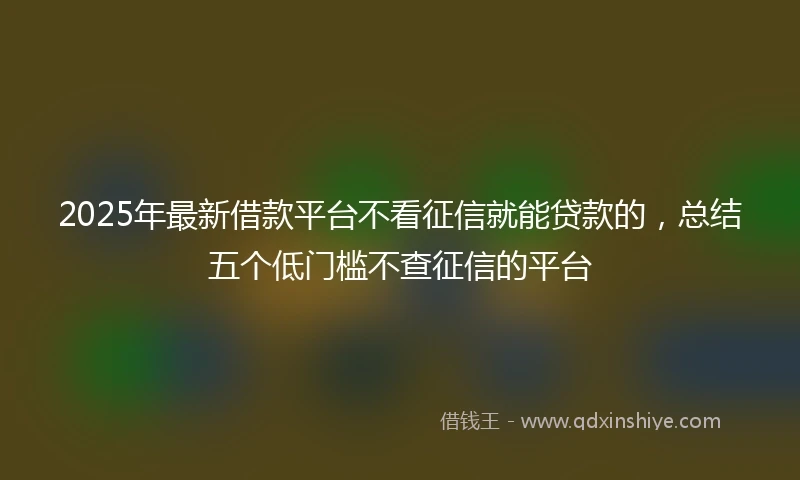 2025年最新借款平台不看征信就能贷款的，总结五个低门槛不查征信的平台