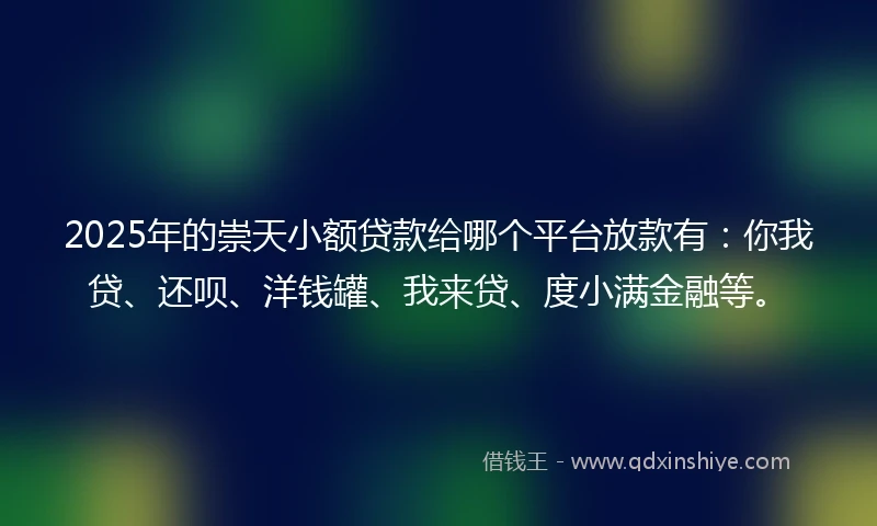 2025年的崇天小额贷款给哪个平台放款有：你我贷、还呗、洋钱罐、我来贷、度小满金融等。