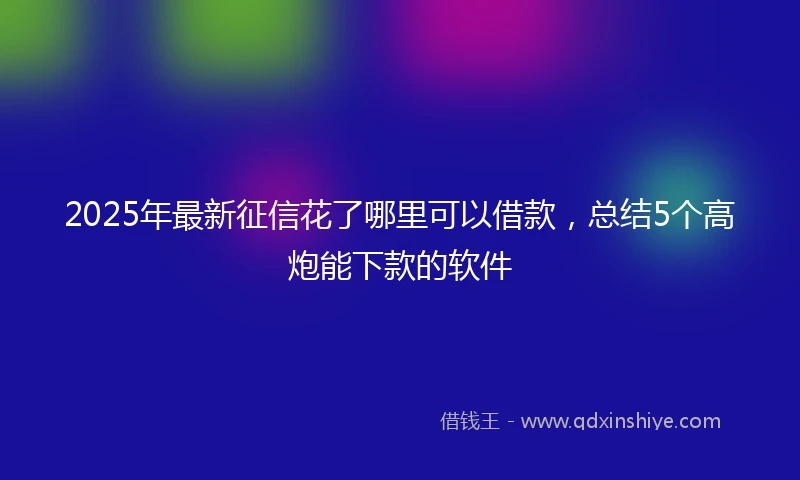 2025年最新征信花了哪里可以借款，总结5个高炮能下款的软件