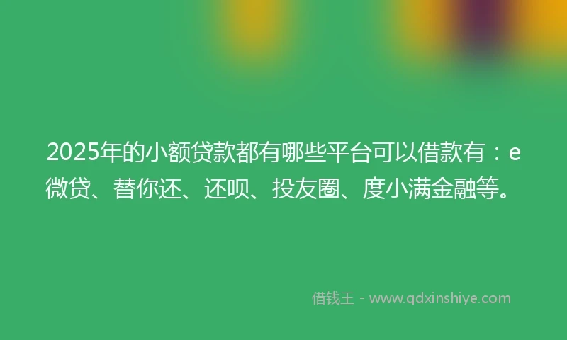 2025年的小额贷款都有哪些平台可以借款有：e微贷、替你还、还呗、投友圈、度小满金融等。