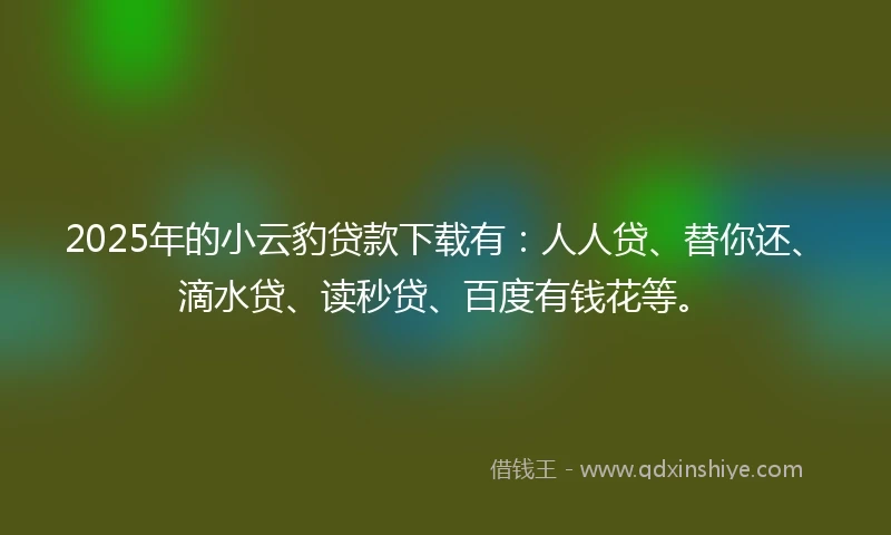 2025年的小云豹贷款下载有：人人贷、替你还、滴水贷、读秒贷、百度有钱花等。