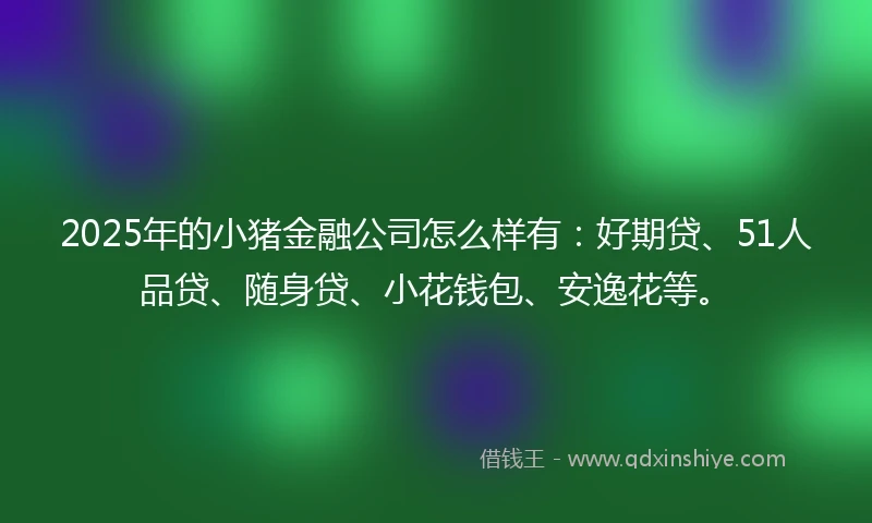 2025年的小猪金融公司怎么样有：好期贷、51人品贷、随身贷、小花钱包、安逸花等。