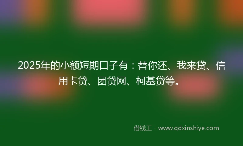 2025年的小额短期口子有：替你还、我来贷、信用卡贷、团贷网、柯基贷等。