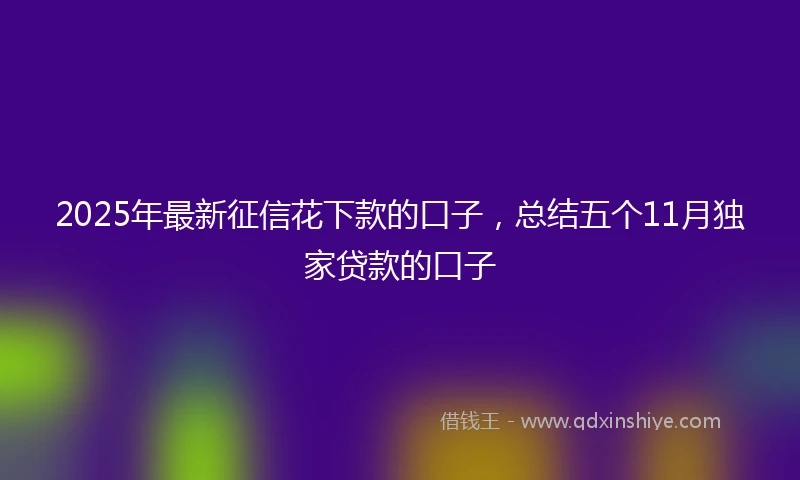 2025年最新征信花下款的口子，总结五个11月独家贷款的口子