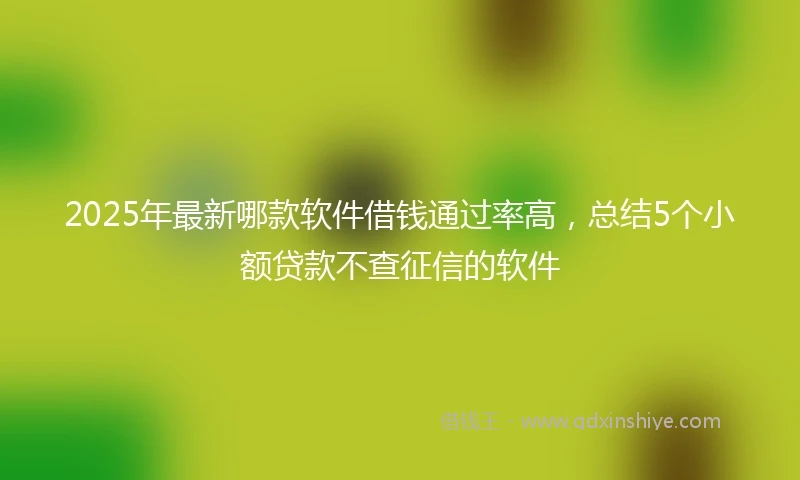 2025年最新哪款软件借钱通过率高，总结5个小额贷款不查征信的软件