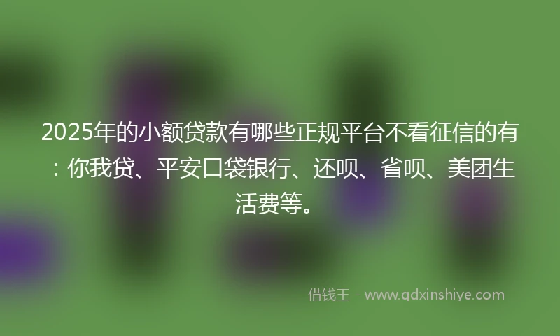 2025年的小额贷款有哪些正规平台不看征信的有：你我贷、平安口袋银行、还呗、省呗、美团生活费等。