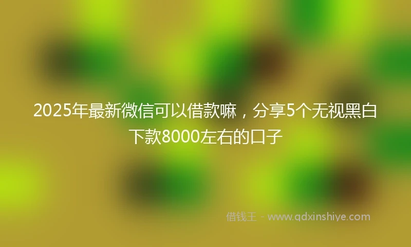 2025年最新微信可以借款嘛，分享5个无视黑白下款8000左右的口子