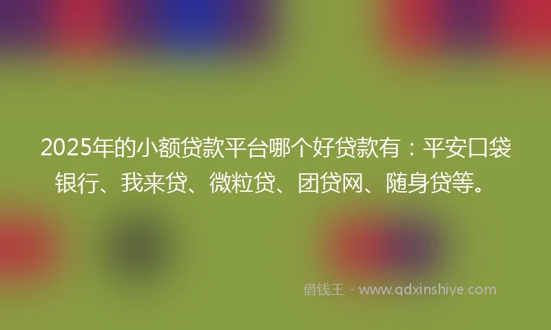 2025年的小额贷款平台哪个好贷款有：平安口袋银行、我来贷、微粒贷、团贷网、随身贷等。