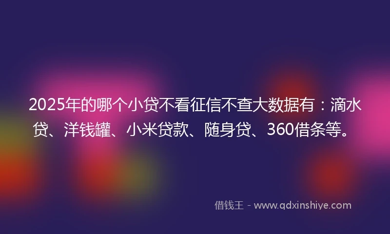 2025年的哪个小贷不看征信不查大数据有：滴水贷、洋钱罐、小米贷款、随身贷、360借条等。