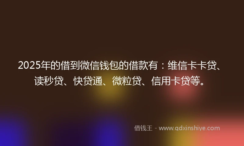 2025年的借到微信钱包的借款有：维信卡卡贷、读秒贷、快贷通、微粒贷、信用卡贷等。