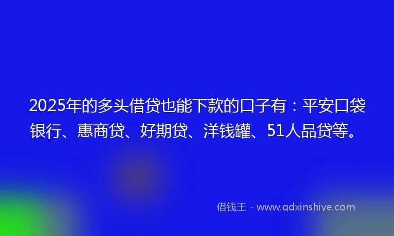 2025年的多头借贷也能下款的口子有：平安口袋银行、惠商贷、好期贷、洋钱罐、51人品贷等。