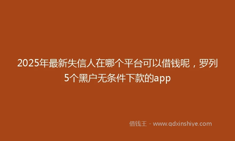 2025年最新失信人在哪个平台可以借钱呢，罗列5个黑户无条件下款的app