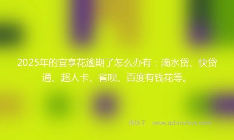 2025年的宜享花逾期了怎么办有：滴水贷、快贷通、超人卡、省呗、百度有钱花等。