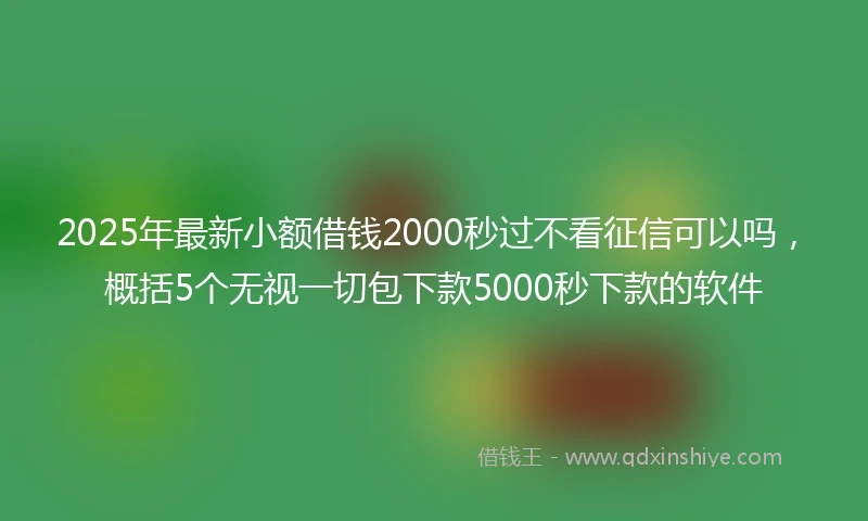 2025年最新小额借钱2000秒过不看征信可以吗，概括5个无视一切包下款5000秒下款的软件