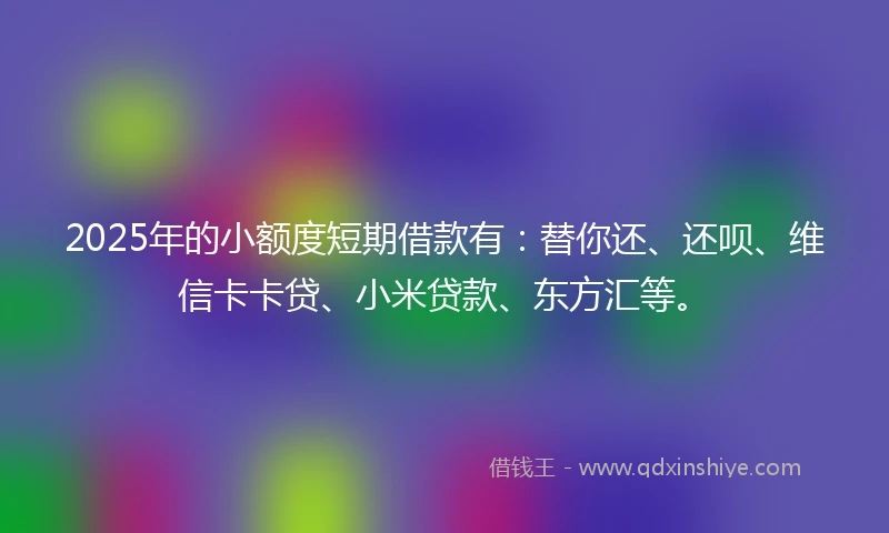 2025年的小额度短期借款有：替你还、还呗、维信卡卡贷、小米贷款、东方汇等。