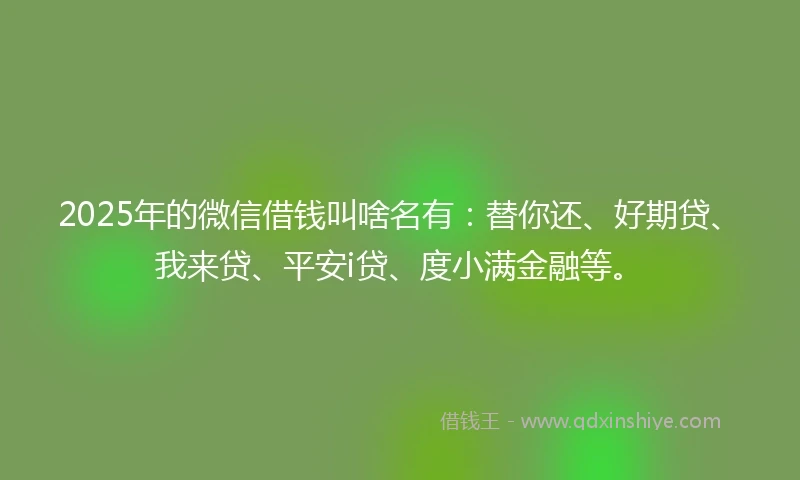 2025年的微信借钱叫啥名有：替你还、好期贷、我来贷、平安i贷、度小满金融等。