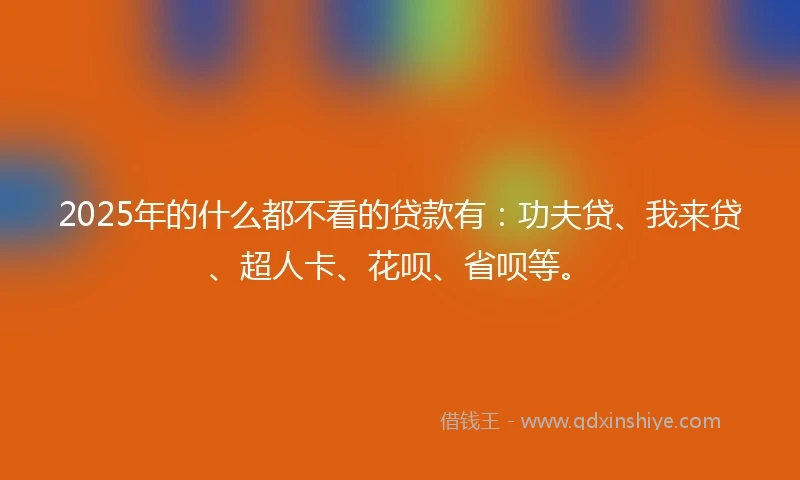 2025年的什么都不看的贷款有：功夫贷、我来贷、超人卡、花呗、省呗等。