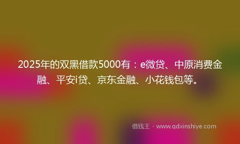2025年的双黑借款5000有：e微贷、中原消费金融、平安i贷、京东金融、小花钱包等。