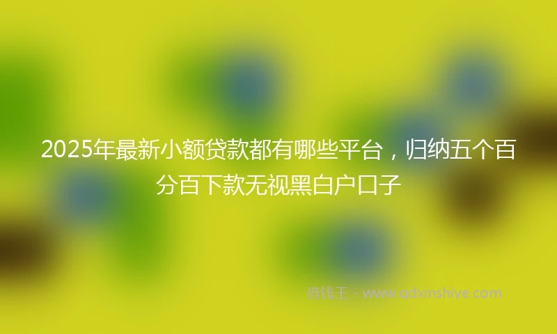 2025年最新小额贷款都有哪些平台，归纳五个百分百下款无视黑白户口子