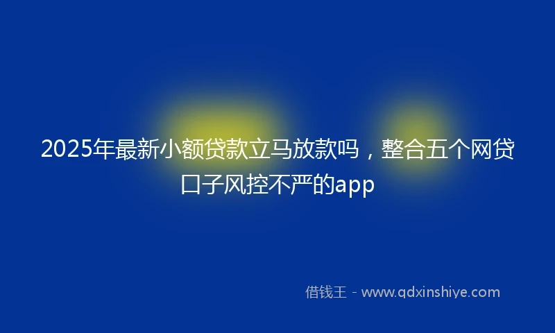 2025年最新小额贷款立马放款吗，整合五个网贷口子风控不严的app