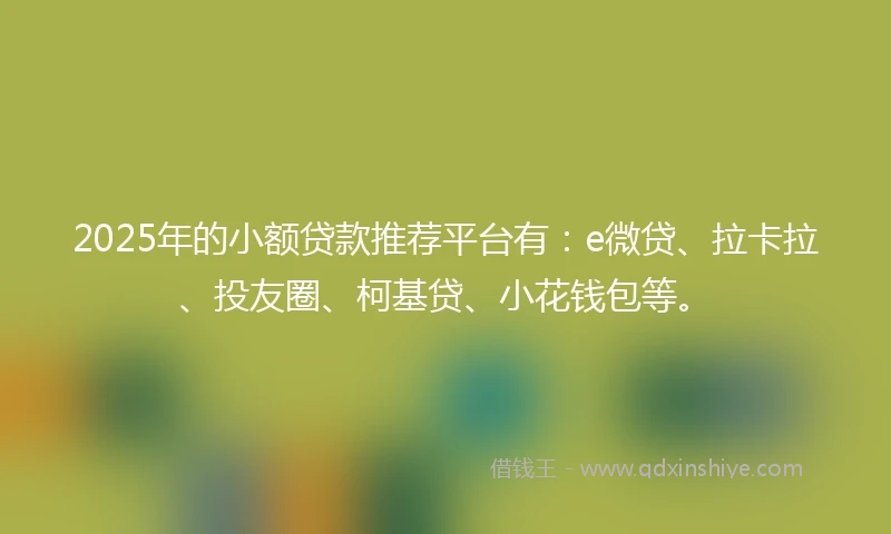 2025年的小额贷款推荐平台有：e微贷、拉卡拉、投友圈、柯基贷、小花钱包等。