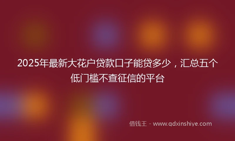 2025年最新大花户贷款口子能贷多少，汇总五个低门槛不查征信的平台