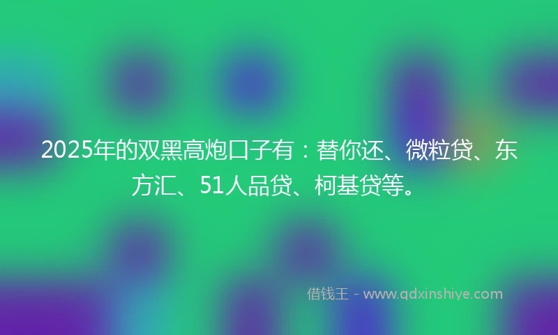2025年的双黑高炮口子有：替你还、微粒贷、东方汇、51人品贷、柯基贷等。